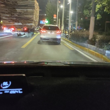 地里长的，健康鲜白术，位于阜阳