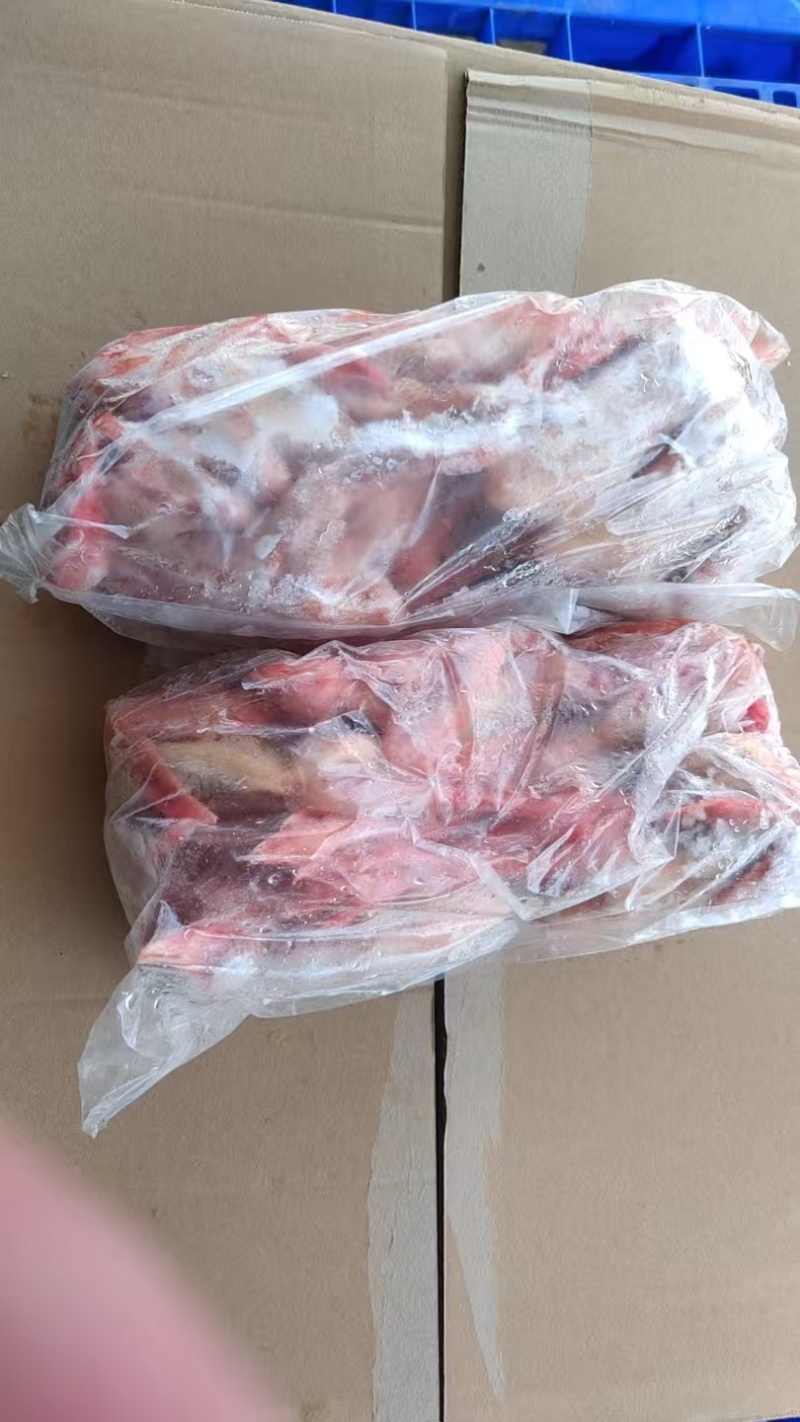 二级鸽子全净膛5-8量货源稳定价格实惠