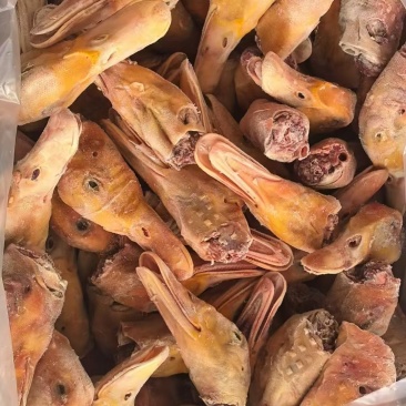 带舌填鸭头