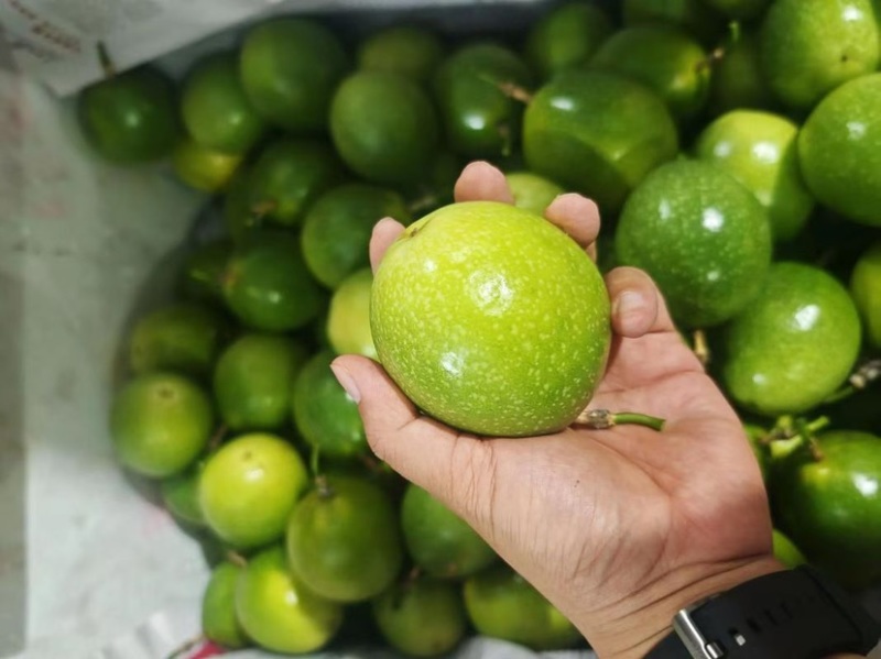 福建精品市场果！小中大特。各种分级果都有。我们只做精品。