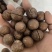 夏威夷果大批量现货