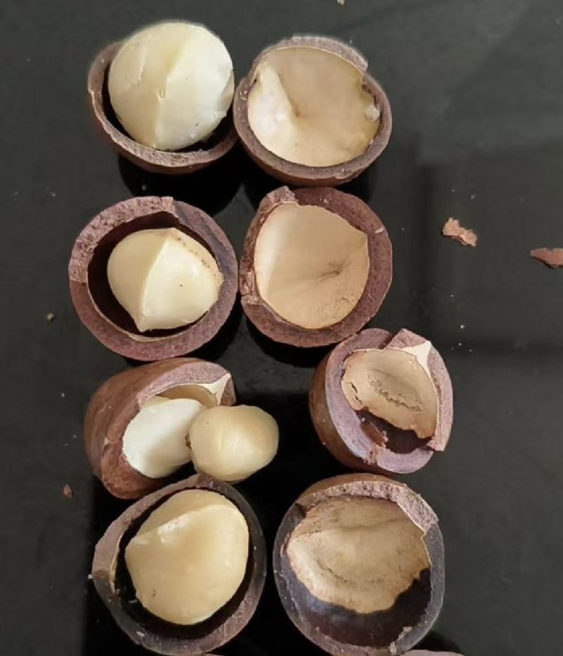 夏威夷果电商一件代发有量你就来