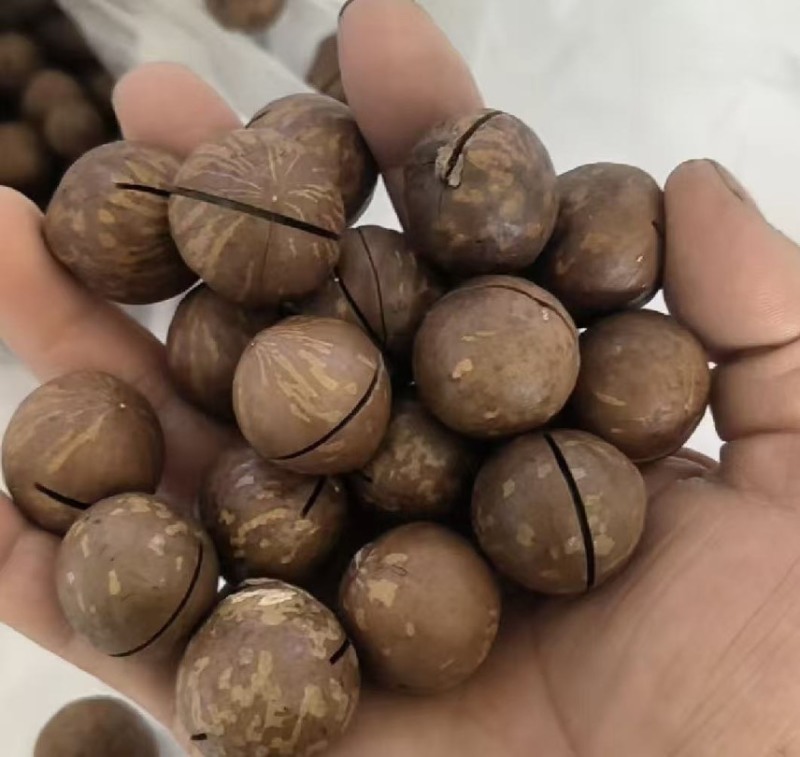夏威夷果电商一件代发有量你就来