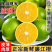 廉江红橙