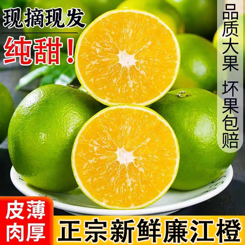 廉江红橙