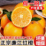 廉江红橙