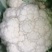65.85.小米松花，菜花