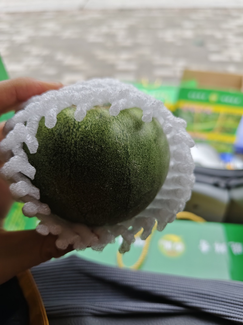 甘肃古浪香瓜