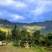 武隆高山土蜂蜜
