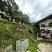 武隆高山土蜂蜜