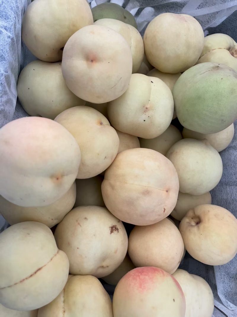 白玉冬桃