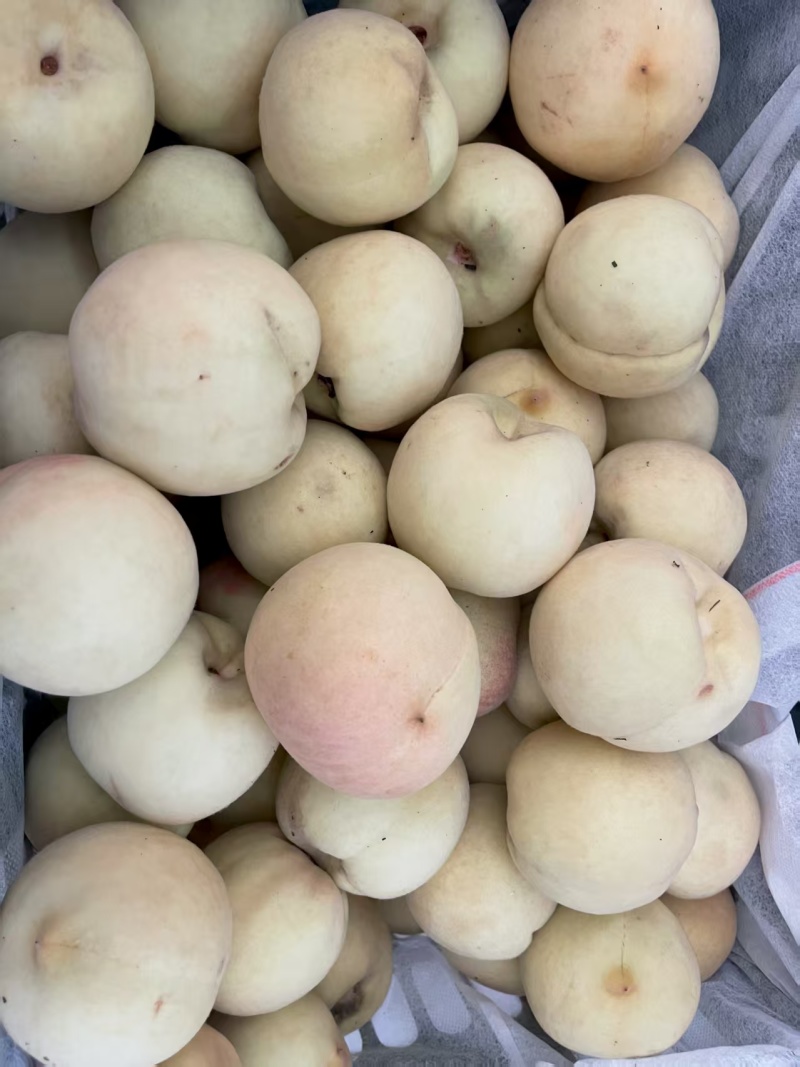 白玉冬桃