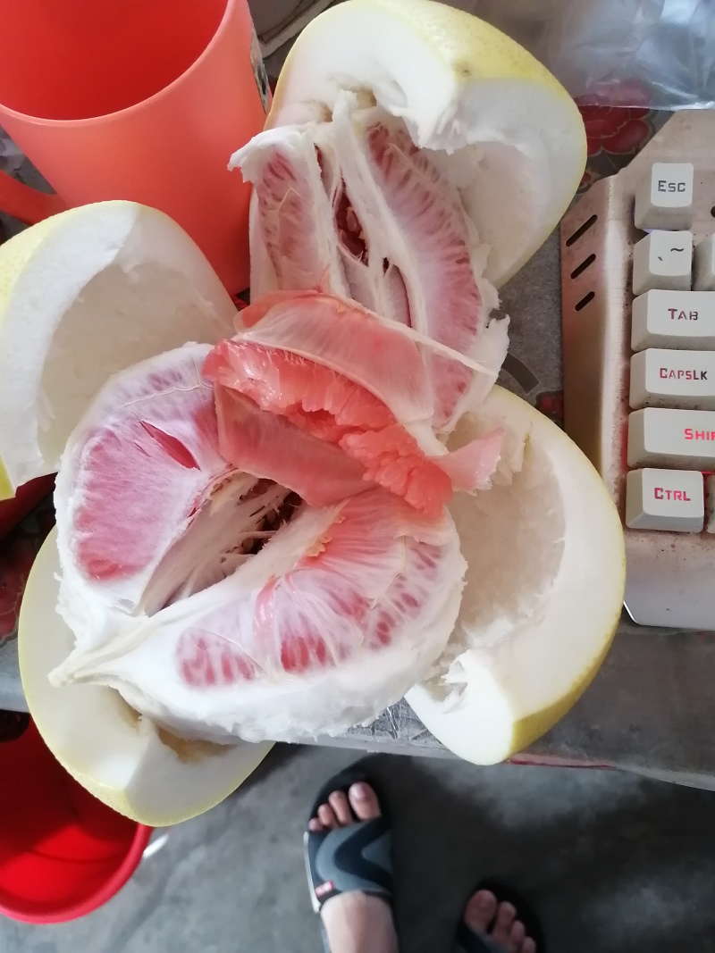广西容县正宗红心蜜柚和白心蜜柚