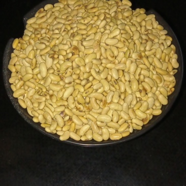 老品种肾型黄豆