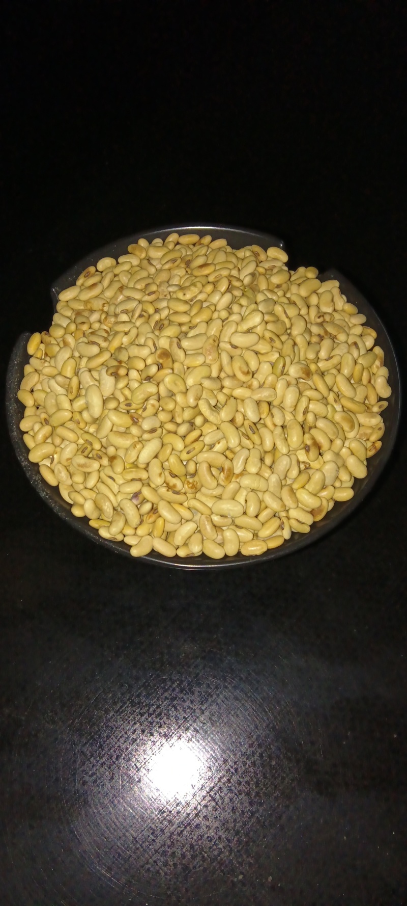 老品种肾型黄豆
