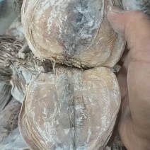 鱿鱼干水发鱿鱼干批发大小不等价格不等哦