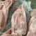 猪肉后上肉
