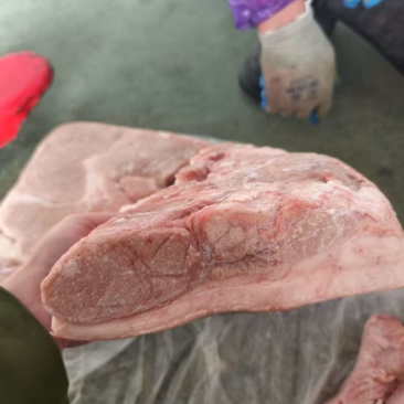 猪肉后上肉