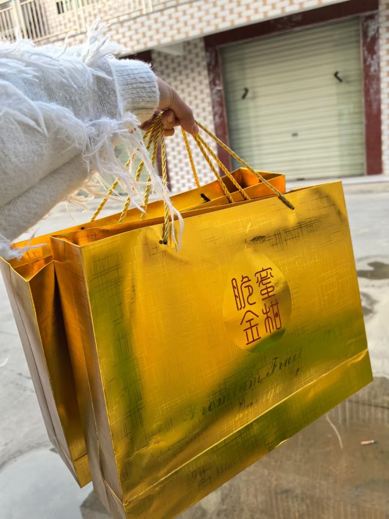 广西柳州融安金桔，滑皮金桔，脆蜜金桔，批发，支持一件代发
