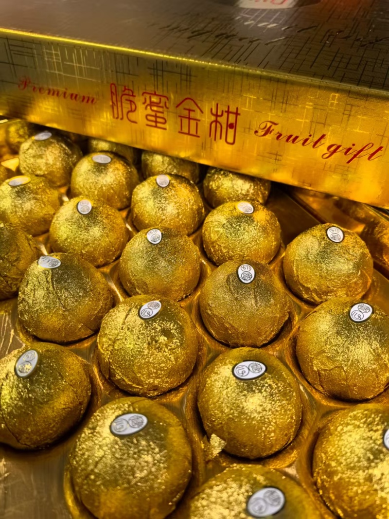 广西柳州融安金桔，滑皮金桔，脆蜜金桔，批发，支持一件代发