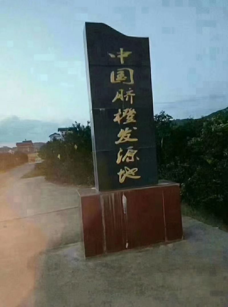 湖南崀山脐橙