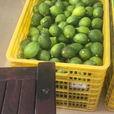 广东韶关柠檬