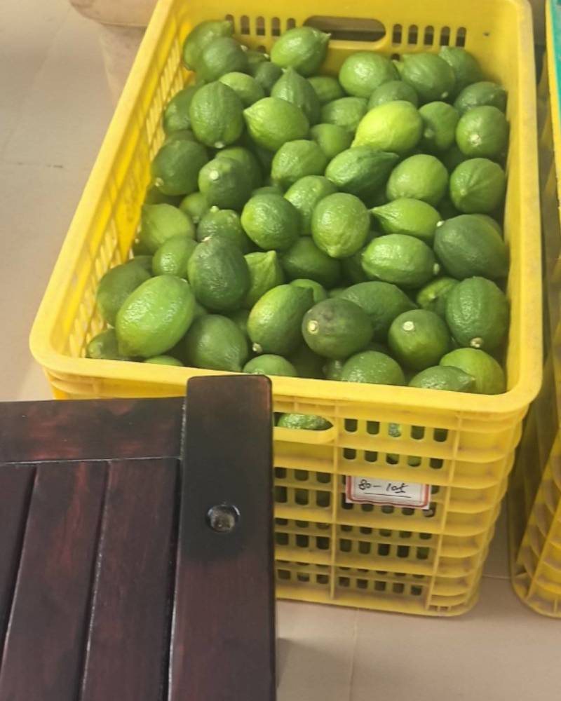 广东韶关柠檬