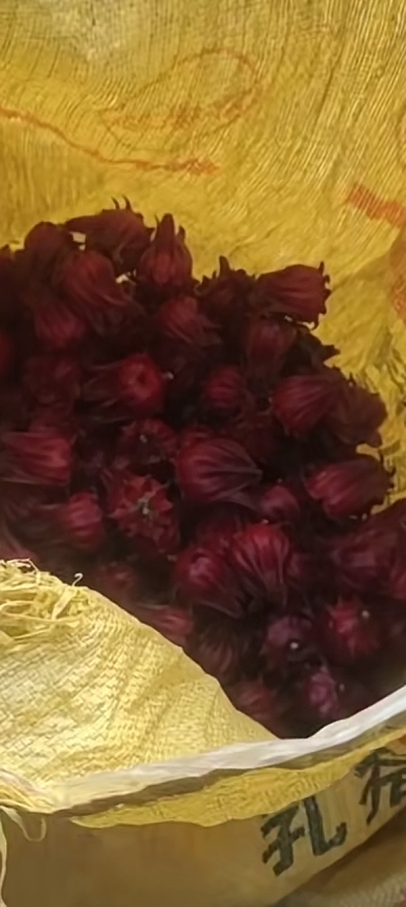 云南洛神花