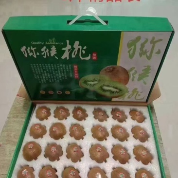 陕西眉县徐香猕猴桃