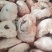 牛羊肉批发牛羊肉副品批发全羊批发