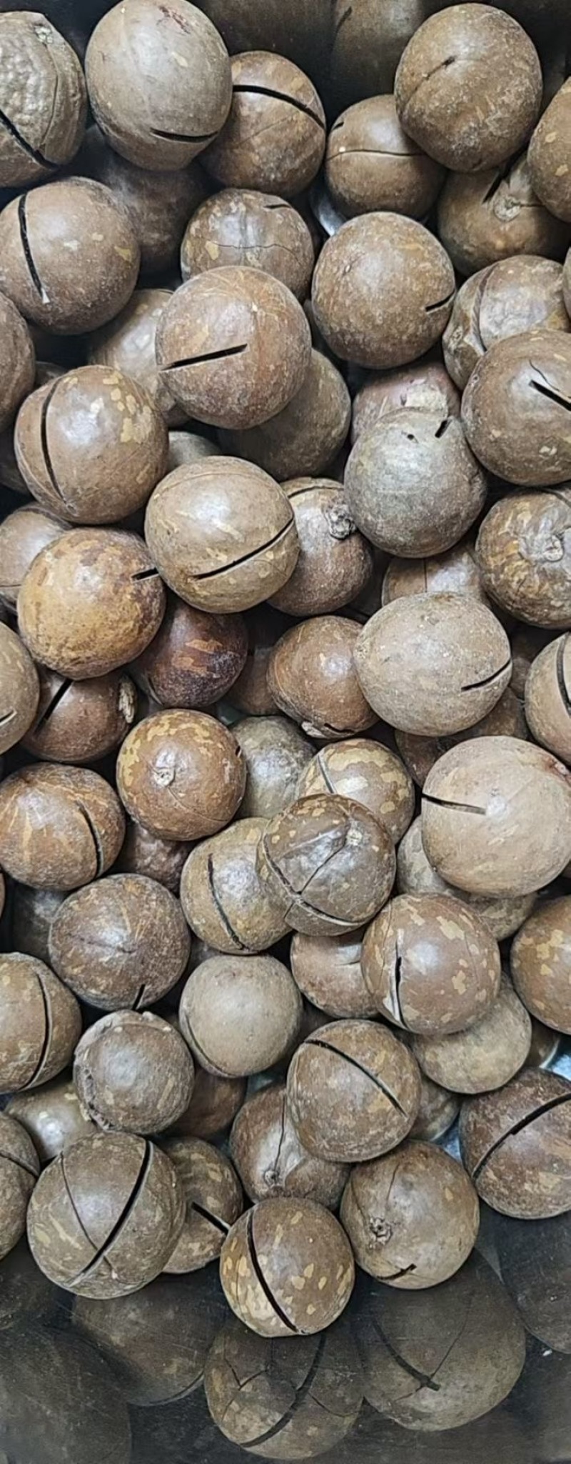 夏威夷果一件代发大货批发，随时工厂考察