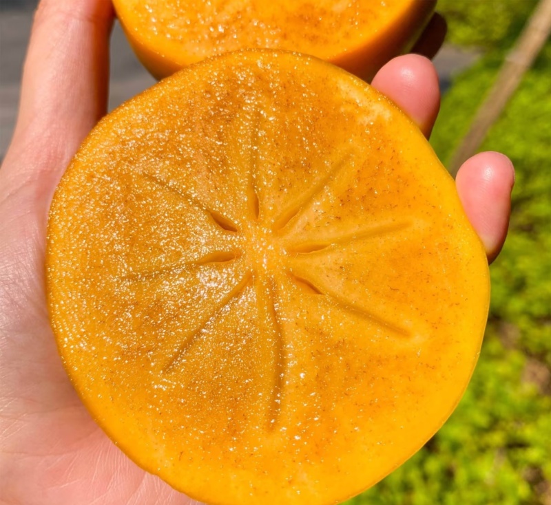 陕西巧克力脆柿子