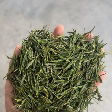 白茶毛峰