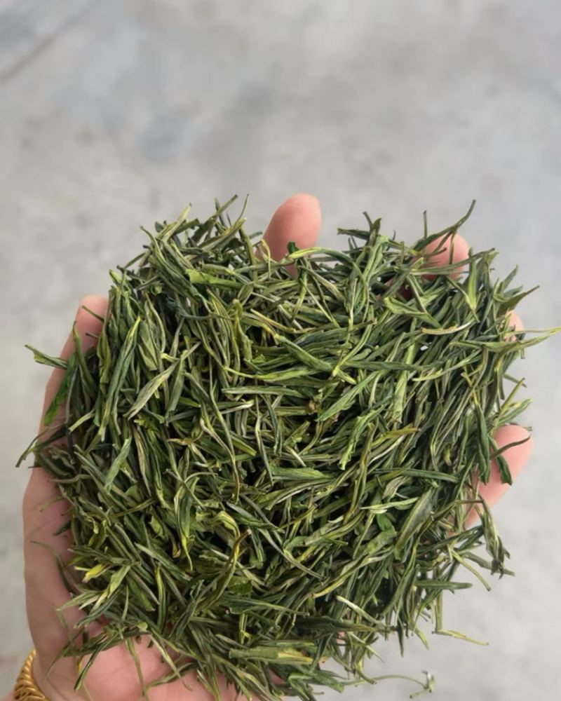 白茶毛峰