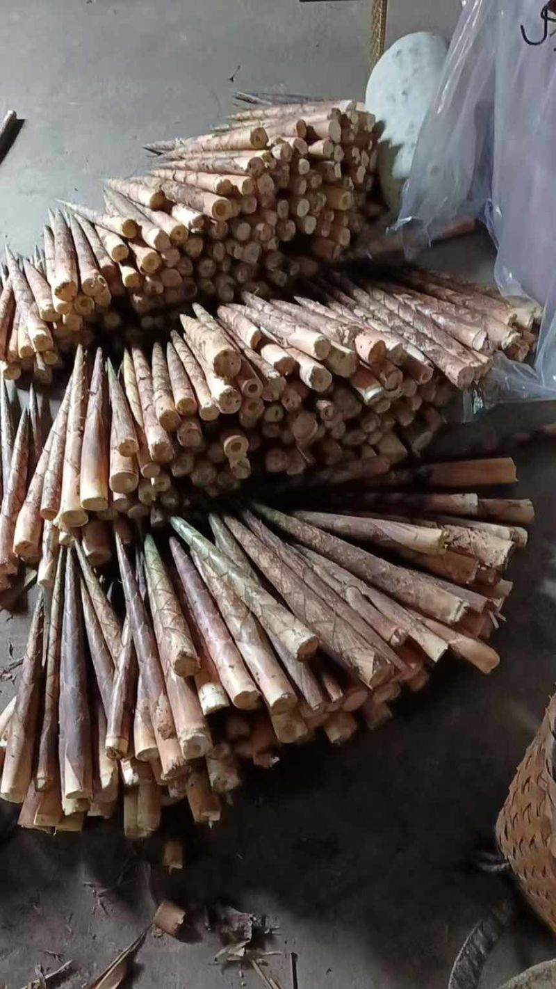 大竹笋鲜货