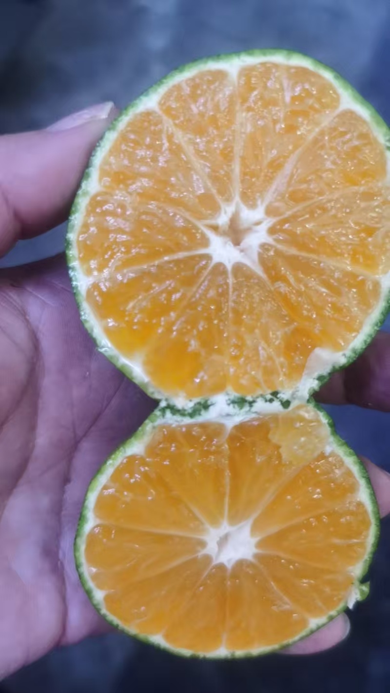 柑橘次果