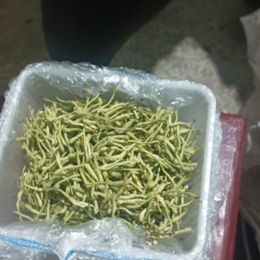 金银花