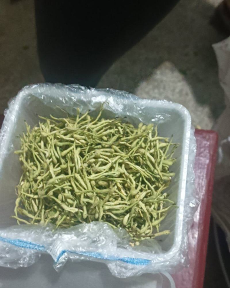 金银花