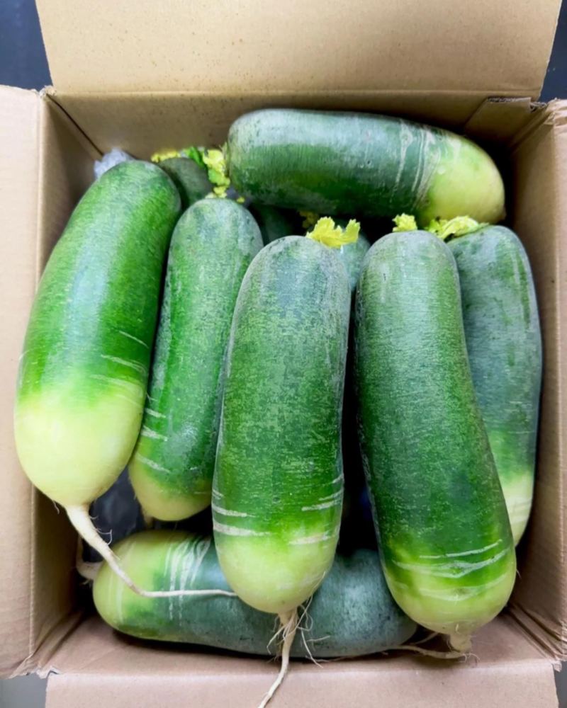 胖小孩品种水果萝卜