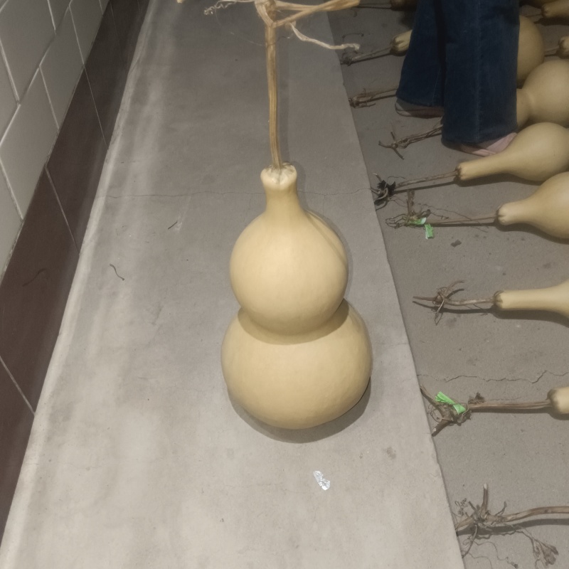 50公分中大号葫芦