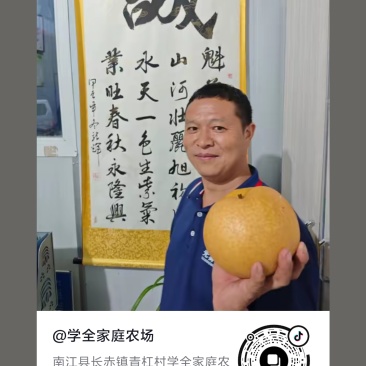 秋月梨，