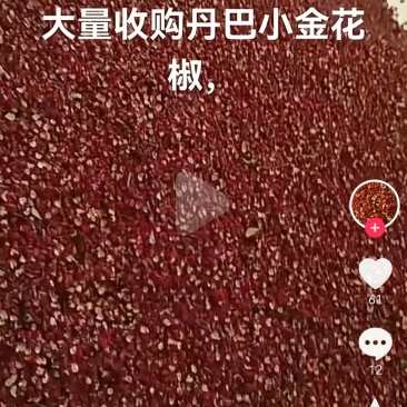 丹巴高山花椒
