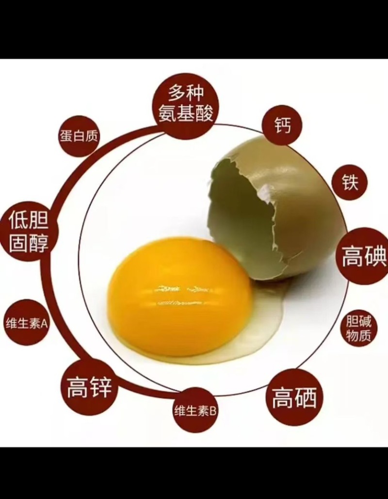 批发山野鸡蛋