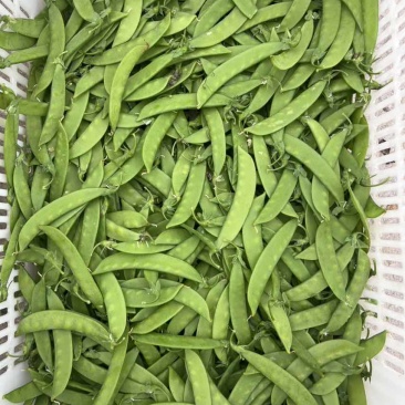 全年供应一手价格费用最低品质保证货到付款