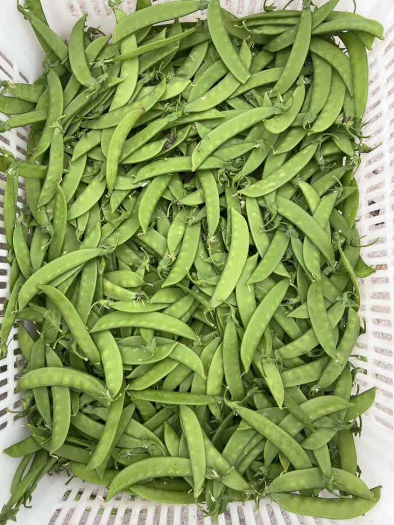 全年供应一手价格费用最低品质保证货到付款
