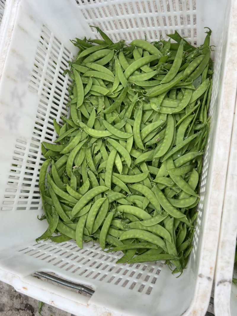 全年供应一手价格费用最低品质保证货到付款