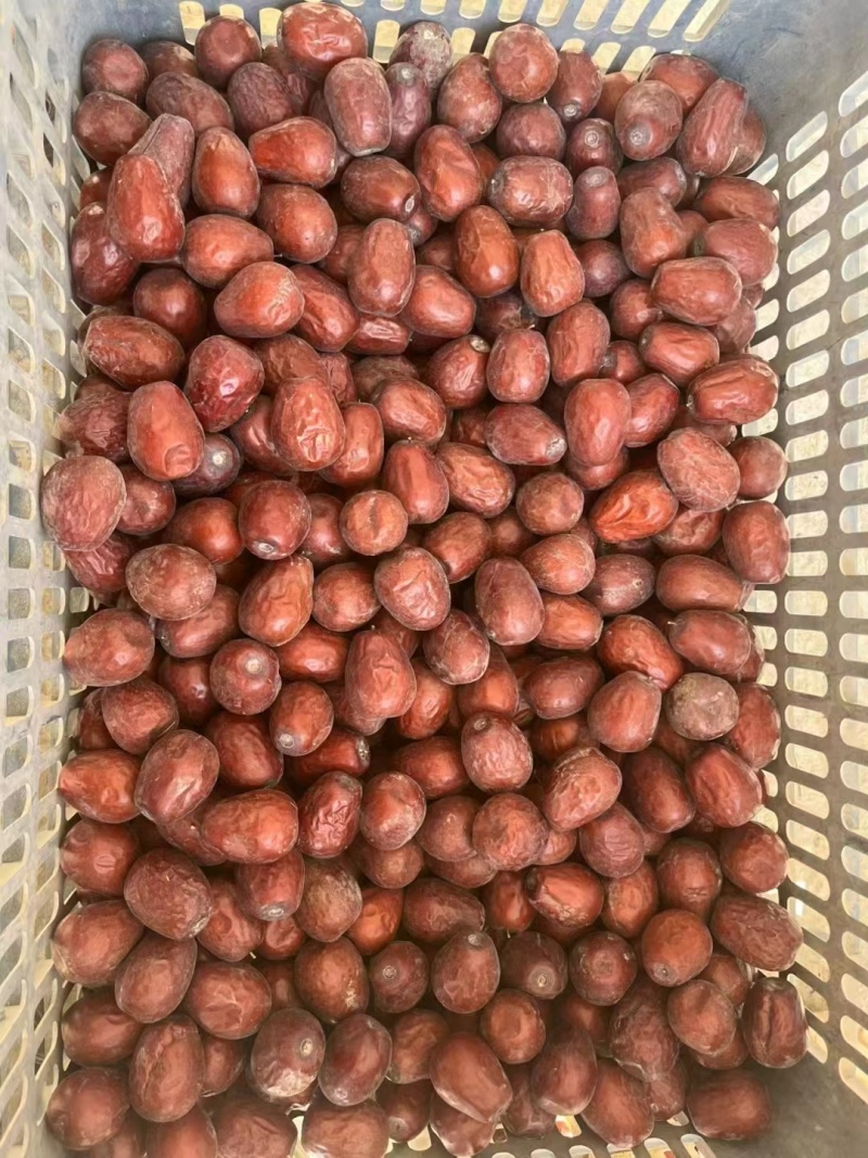 新疆和田玉枣