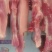 猪肉
