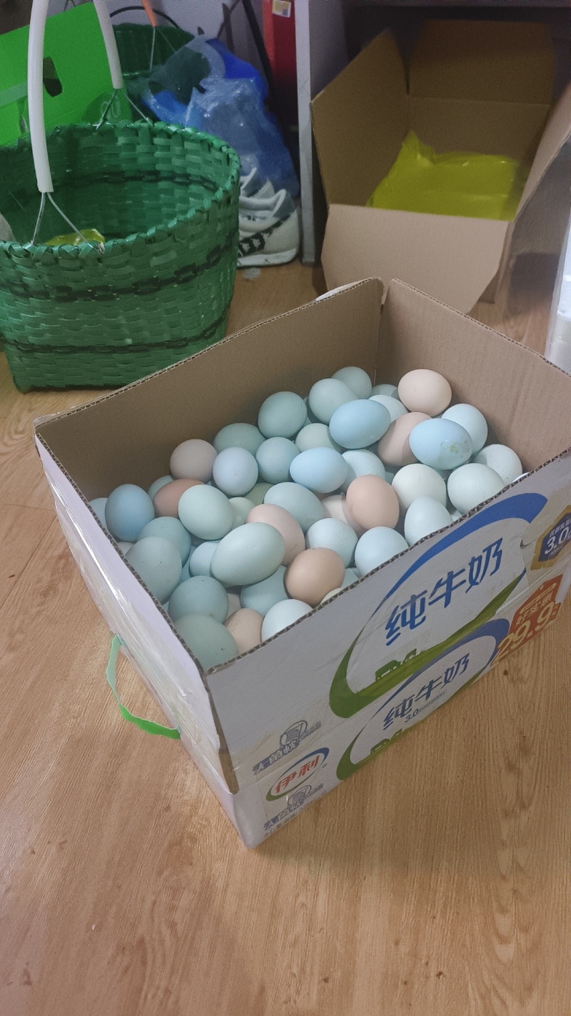 莱西秋月梨