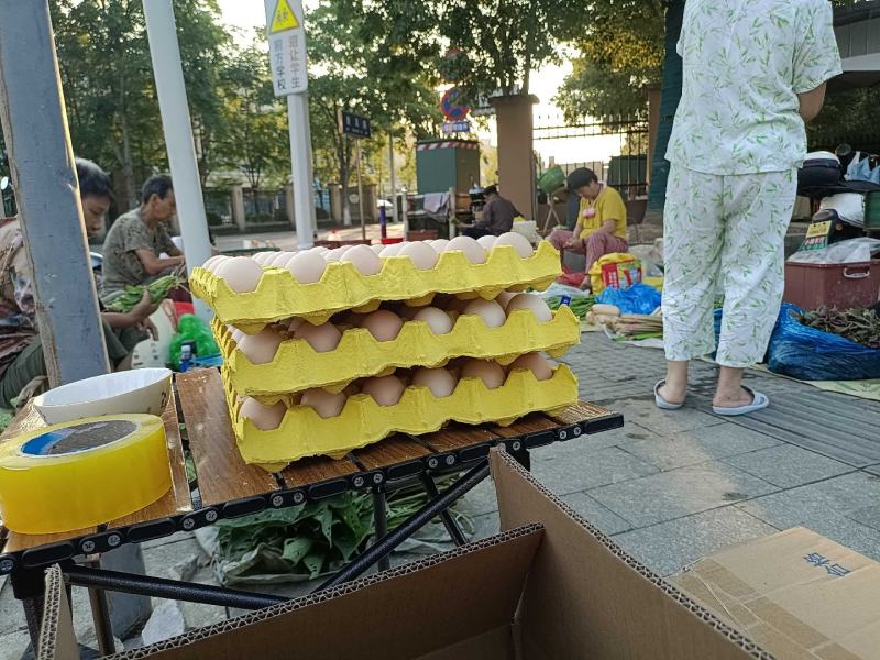 农村绿壳乌鸡蛋粉壳笨鸡蛋